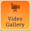 Video Gallery